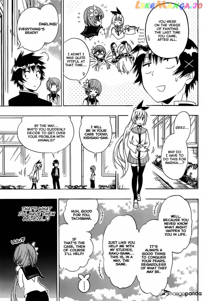 Nisekoi Chapter 142 image 04_optimized